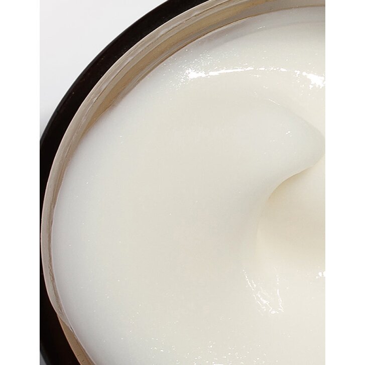 SEGLE RESTAURA CREAM 50ml